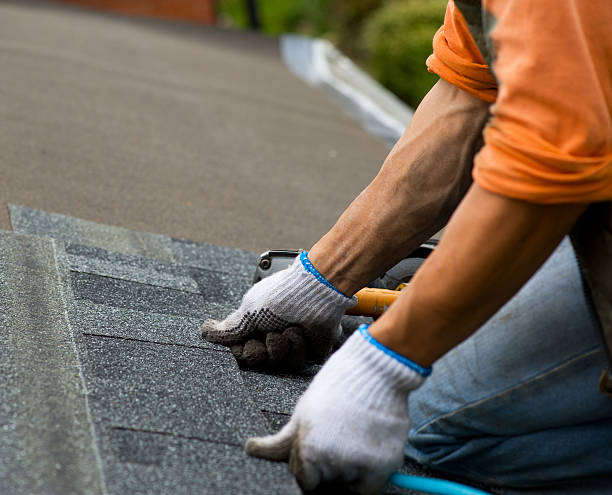 Best Roof Repair Services  in Kaunakakai, HI