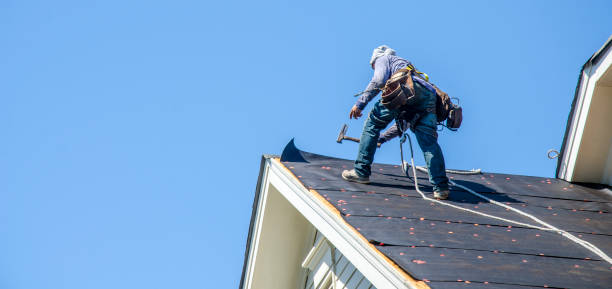 Best Roof Gutter Cleaning  in Kaunakakai, HI